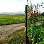 U Zosi Kowalczyk Gronkow
