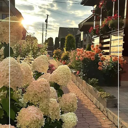 아파트 U Zosi Kowalczyk