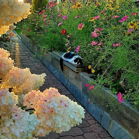 아파트 U Zosi Kowalczyk Gronkow