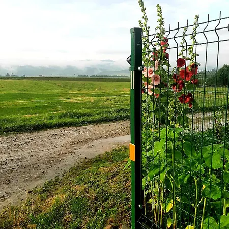 U Zosi Kowalczyk Gronkow
