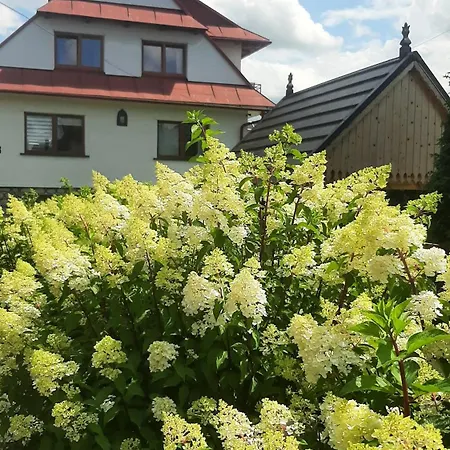 아파트 U Zosi Kowalczyk *