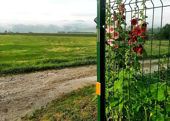 U Zosi Kowalczyk Gronkow